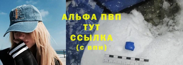 стафф Арсеньев