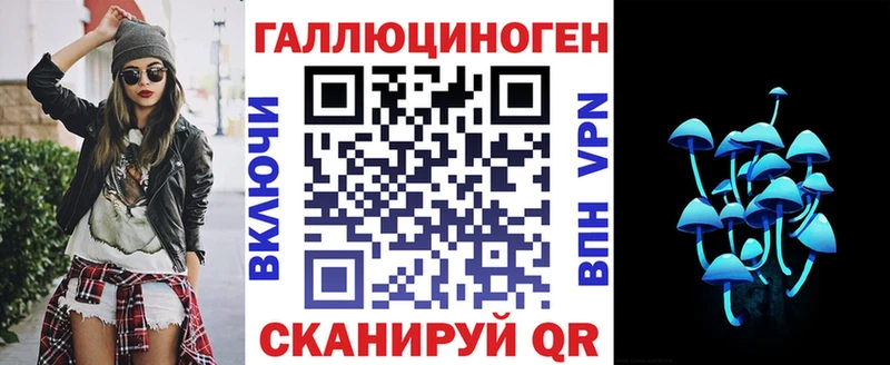 Галлюциногенные грибы Psilocybine cubensis Магадан