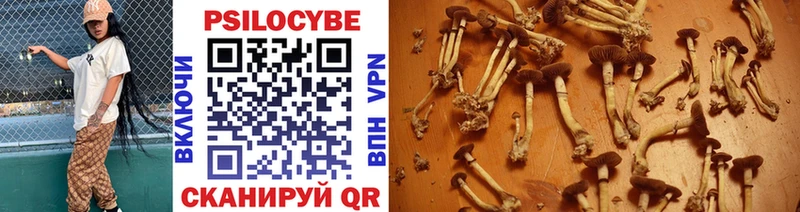 Купить закладки  Магадан  Галлюциногенные грибы Magic Shrooms 